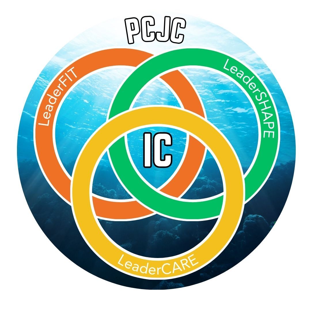 The PCJC Vision Frame